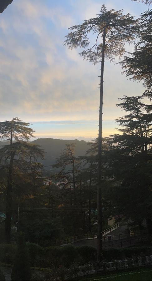 The Edgeworth Bed and Breakfast Shimla Buitenkant foto